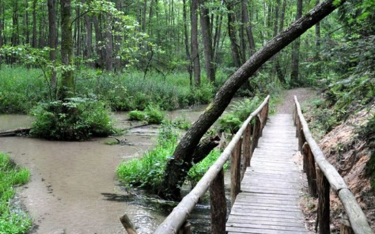 Zbiórka Plener malarski/Painting outdoor - zdjęcie główne