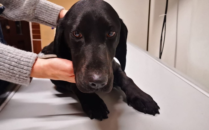 Zbiórka Móc odmienić ich los ... - zdjęcie główne