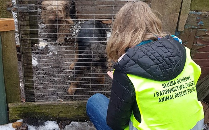 Zbiórka Interwencje SORZ ARP - zdjęcie główne