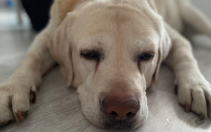 Zbiórka Odi Kontra Nowotwór - zdjęcie główne