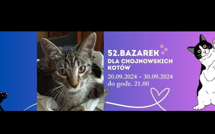 Zbiórka 52 edycja Bazarku - zdjęcie główne