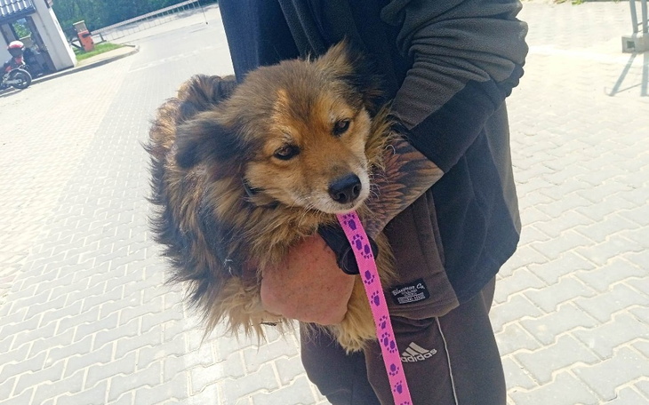 Zbiórka Sunia z parkingu. - zdjęcie główne