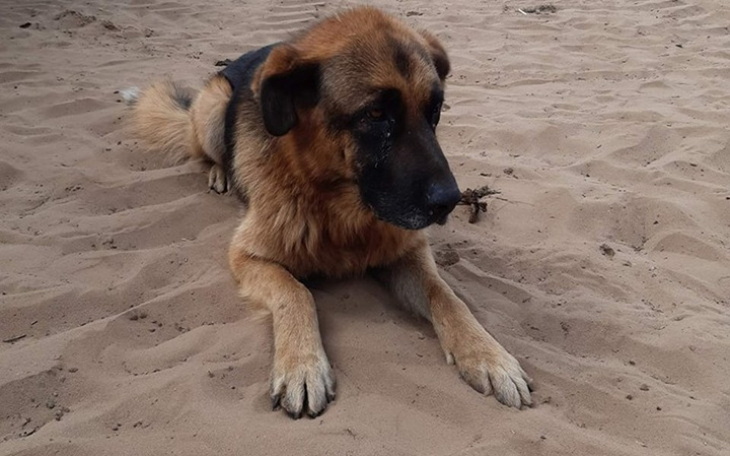 Zbiórka Ratunek dla staruszka - zdjęcie główne