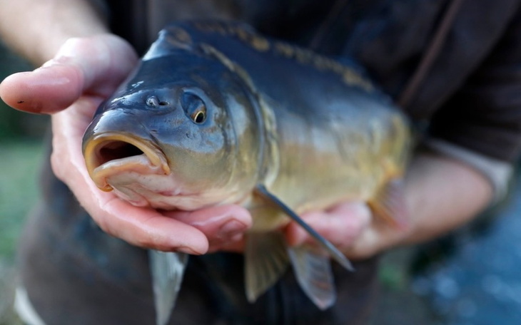 Osoba trzymająca dużą rybę, z wyraźnym uśmiechem.