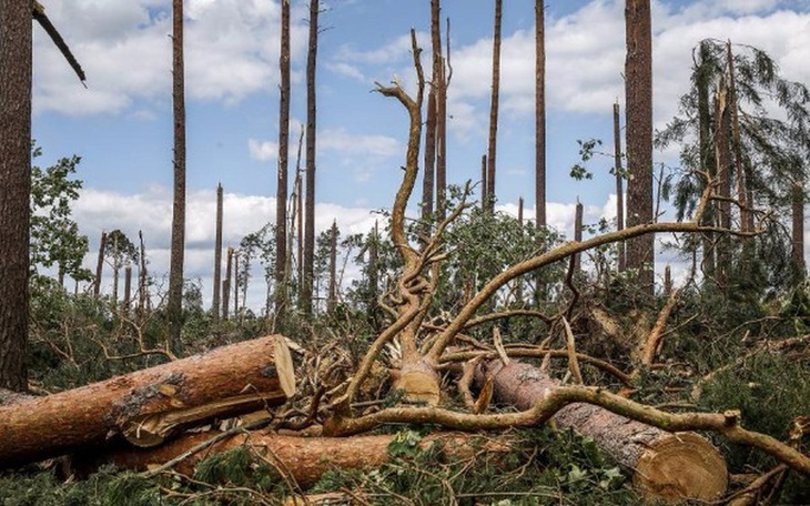 Zbiórka Pomagajmy ofiarom nawałnicy - zdjęcie główne