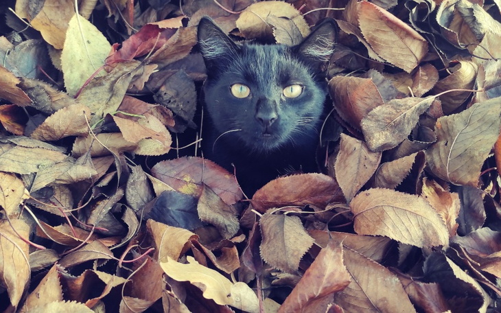 Zbiórka Dla pupinki - zdjęcie główne