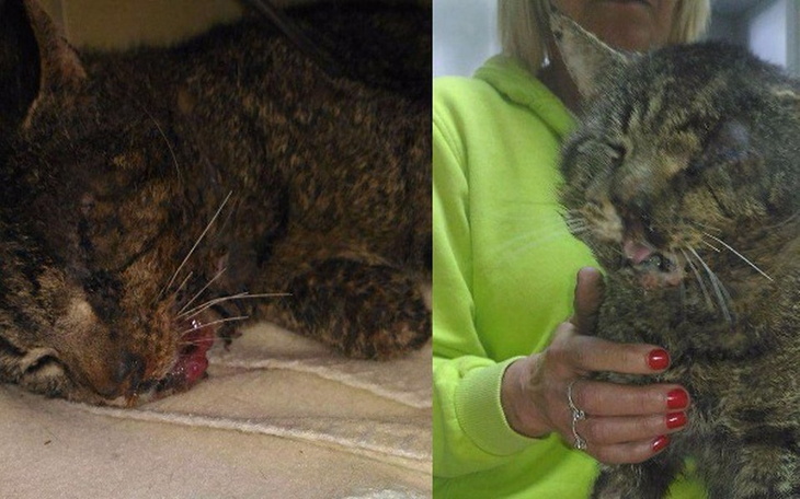 Zbiórka Pilna pomoc potrzebna - zdjęcie główne