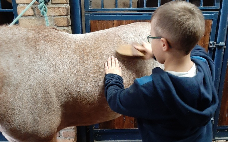 Zbiórka Autyzm- terapię dla syna - zdjęcie główne