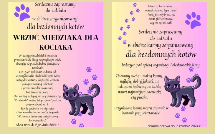 Zbiórka dla bezdomnych kotów z ilustracją kota.