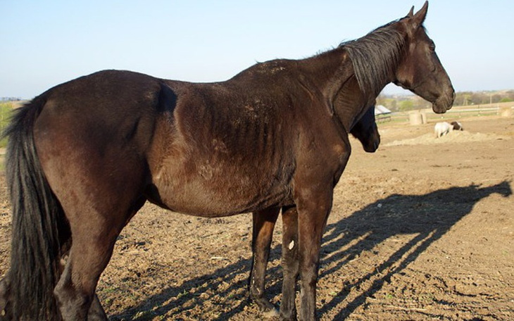 Zbiórka Na Aneczkę nie było gwarancji - zdjęcie główne