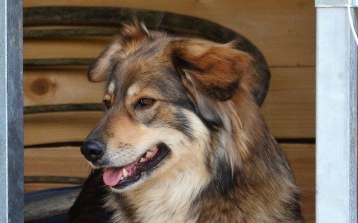 Zbiórka Wania nigdy nie miała domu. - zdjęcie główne