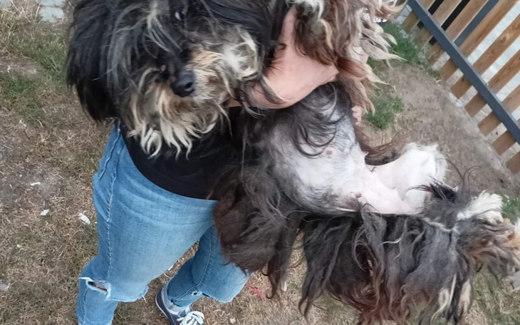 Zbiórka DREDY, SKÓRA I KOŚCI - pomóżcie - zdjęcie główne