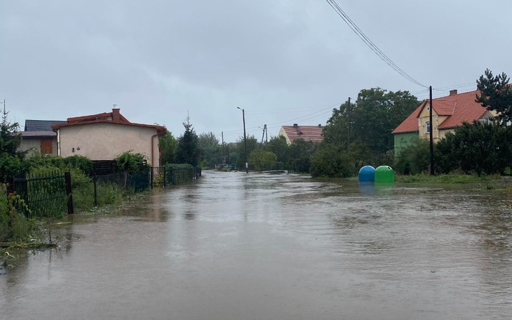 Zbiórka Pomóc powidzianom - zdjęcie główne