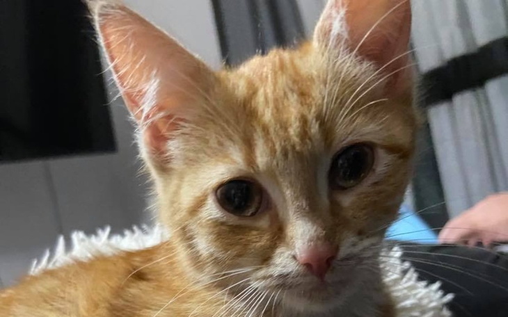 Zbiórka Wsparcie dla Rudziaka - zdjęcie główne