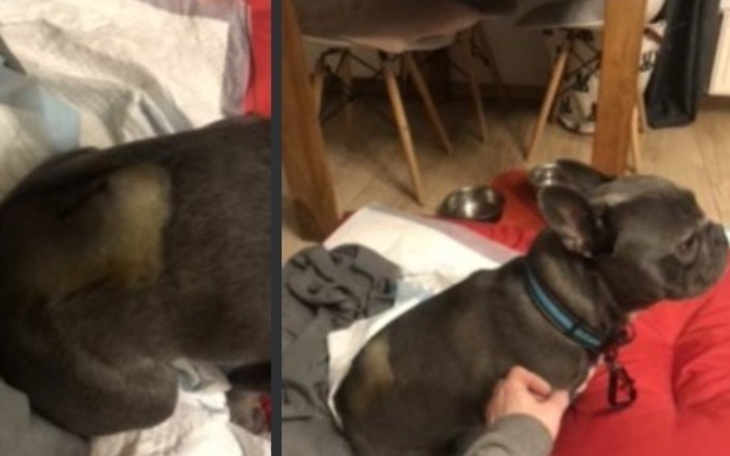 Zbiórka Druga operacja dla buldozka - zdjęcie główne