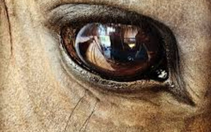 Zbiórka Targi śmierci Skaryszew - zdjęcie główne