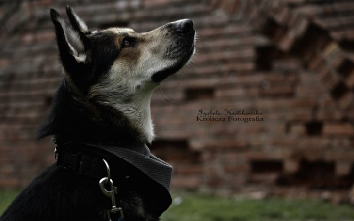 Zbiórka Kurs fotografii, nowa lustrzanka - zdjęcie główne