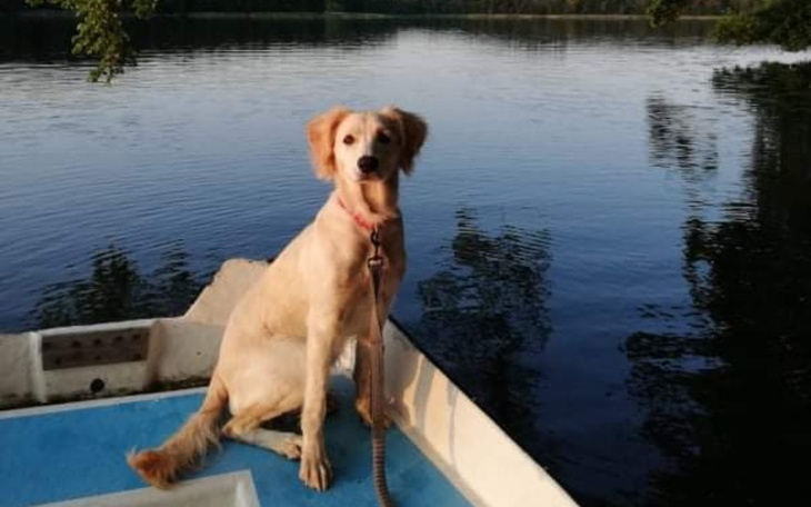 Zbiórka Na ratunek 9-miesięcznej Pyzie - zdjęcie główne