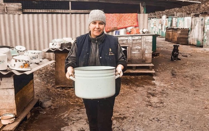 Zbiórka Pomoc dla schroniska SUMY - zdjęcie główne