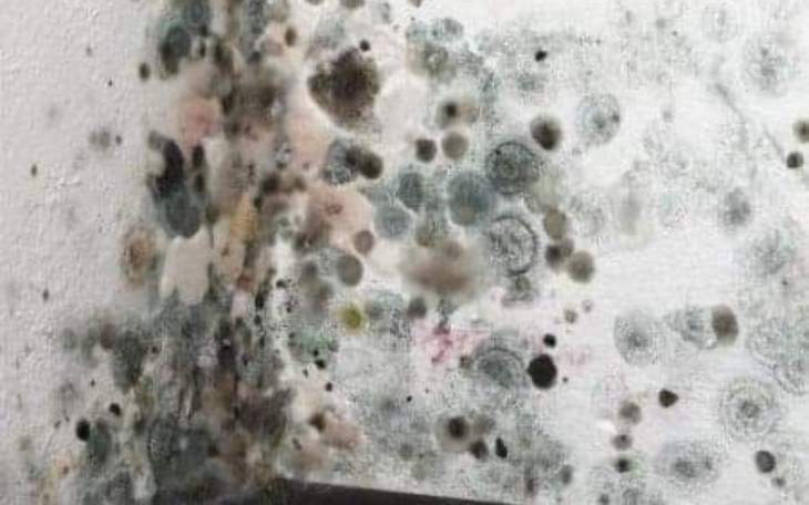 Zbiórka Pomoc finansowa dla mojej rodzin - zdjęcie główne