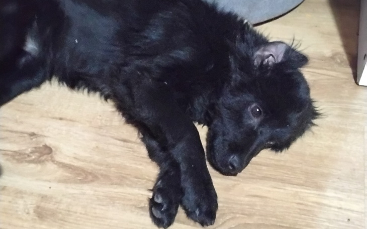 Zbiórka Podarujmy im nadzieję - zdjęcie główne