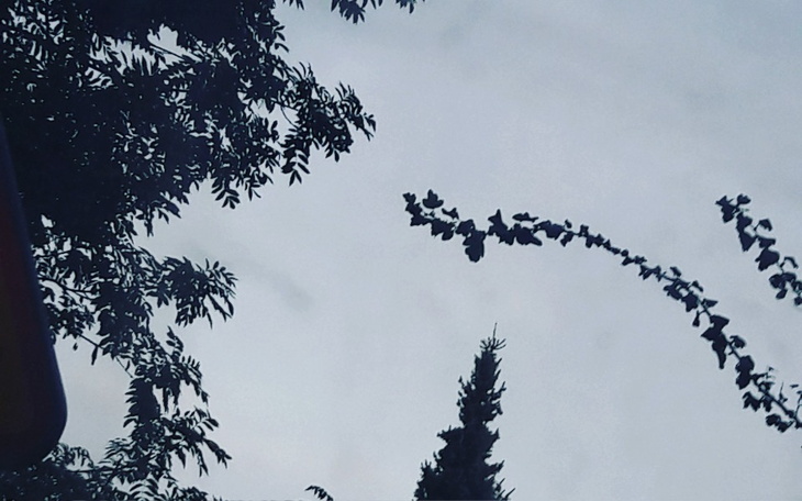 Zbiórka Pomoc dla 6 wspaniałych osób - zdjęcie główne