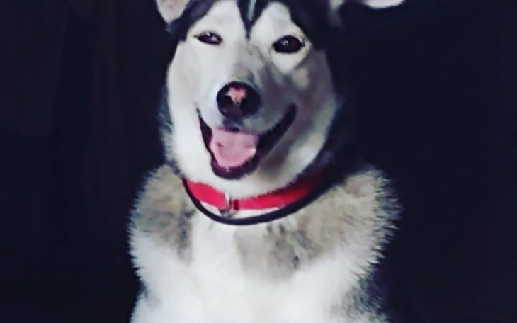 Zbiórka Costa ma horobe - zdjęcie główne