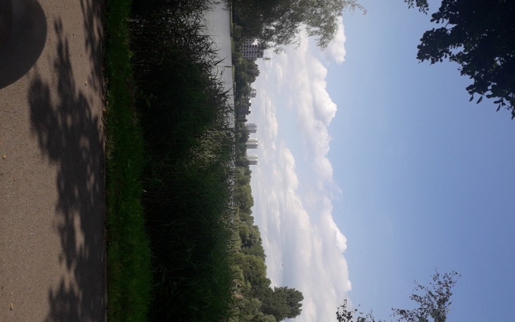 Zbiórka Na Ole - zdjęcie główne