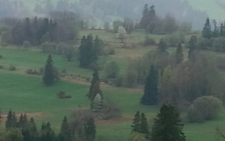 Zielony krajobraz z drzewami i wzgórzami w tle.
