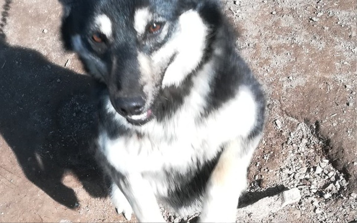 Zbiórka Nowy domek dla Soni - zdjęcie główne