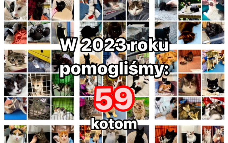 Zbiórka Toniemy w długach - ratuj nas - zdjęcie główne