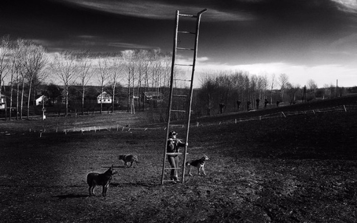 Zbiórka Żeby umieranie nie bolało... - zdjęcie główne