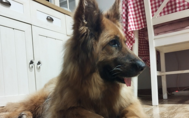 Zbiórka Masektomia Hery - zdjęcie główne