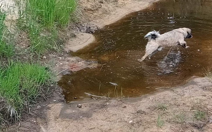 Zbiórka Nie biegam głodny - zdjęcie główne