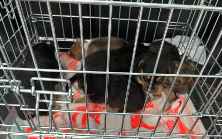 Zbiórka Po nowe życie - transport - zdjęcie główne