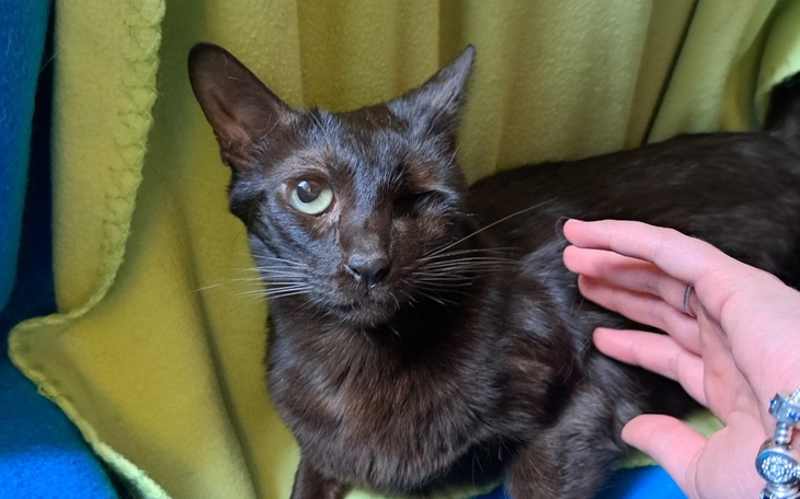 Zbiórka Latifa Cię potrzebuje... - zdjęcie główne