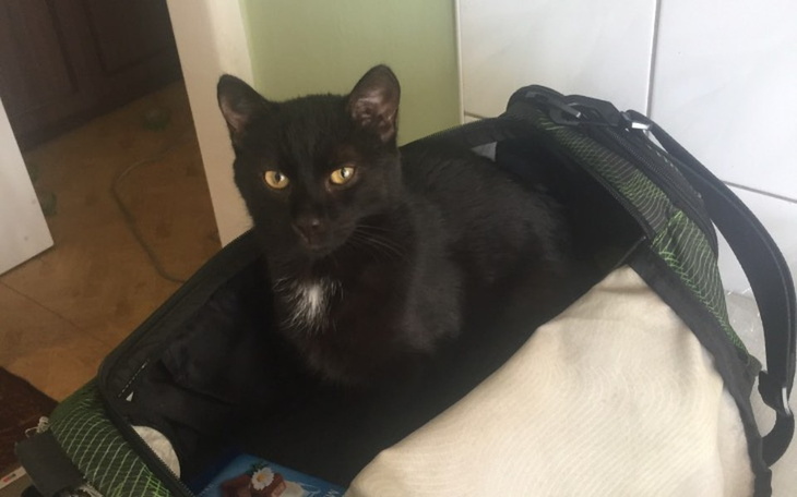 Zbiórka Zbieram na studia i życie - zdjęcie główne