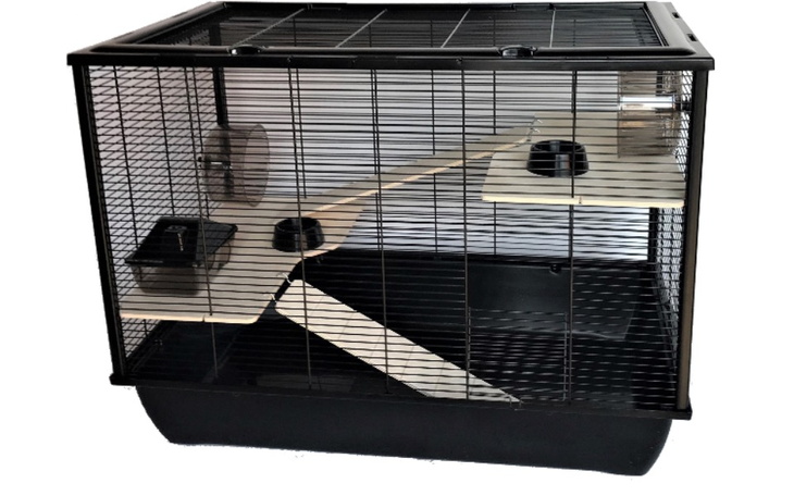 Zbiórka Klatka dla davea - zdjęcie główne