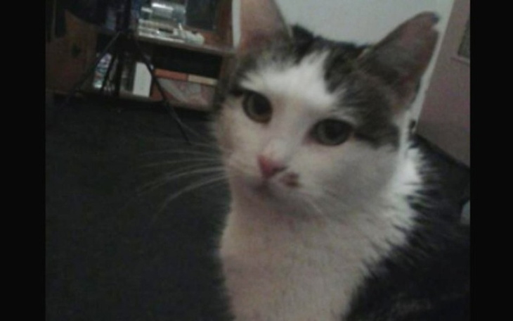 Zbiórka Podaruj jej jeszcze jeden oddech - zdjęcie główne