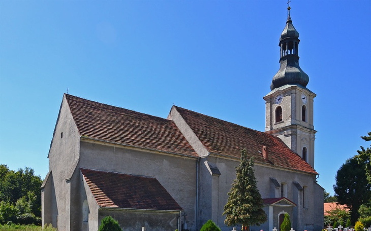 Zbiórka remont organów w Milinie - zdjęcie główne