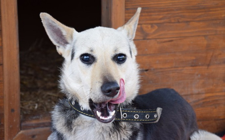 Zbiórka Niewidoma Lenka prosi o grosik - zdjęcie główne