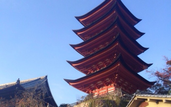 Zbiórka Wymarzony wyjazd do Japonii - zdjęcie główne