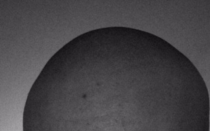 Zbiórka Na włosy dla Łysego - zdjęcie główne