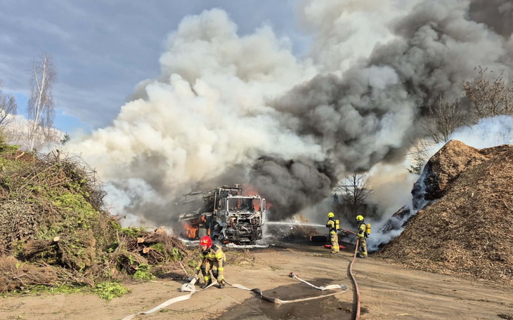 Strażacy gaszący pożar w zaroślach.