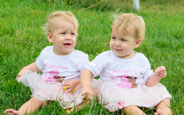 Zbiórka budowa domu szkieletowego - zdjęcie główne