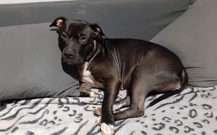 Mężczyzna z uśmiechem, w domowym otoczeniu.