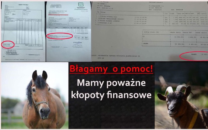 Zbiórka Kryzys finansowy Przystani - zdjęcie główne