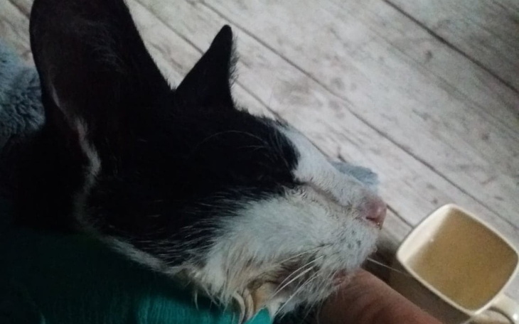 Zbiórka truta Aqua - zdjęcie główne