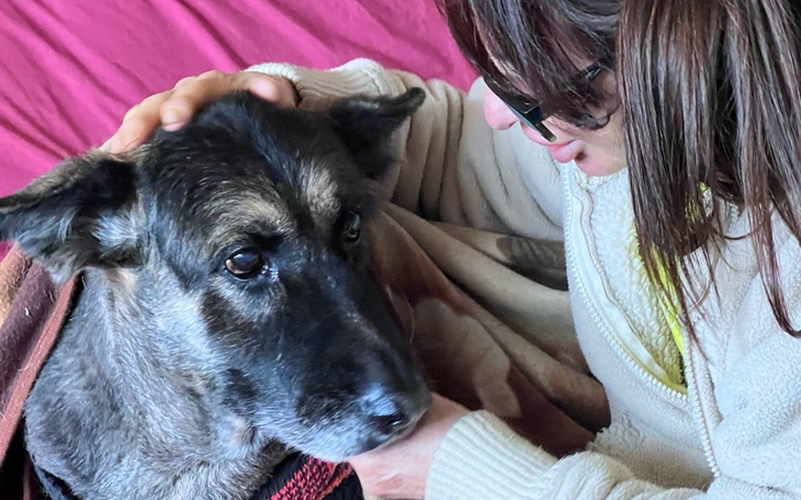 Kobieta głaszcząca psa, oboje w przytulnej atmosferze.