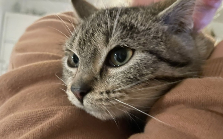 Zbiórka Jako jedyny przeżył - zdjęcie główne